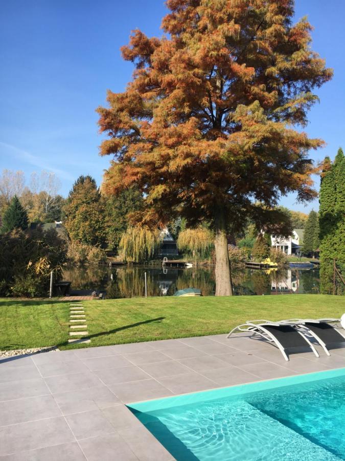 Bony Resort Sarvaš Exteriér fotografie